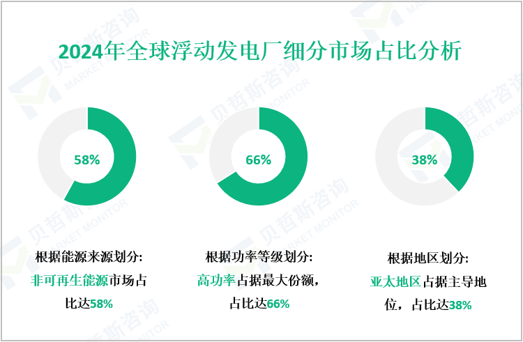 2024年全球浮动发电厂细分市场占比分析