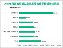 2023年青海省实现社会消费品零售额987.7亿元，比上年增长17.3%