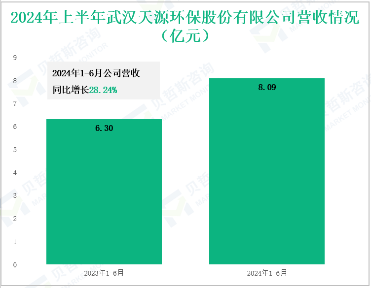 2024年上半年武汉天源环保股份有限公司营收情况(亿元)
