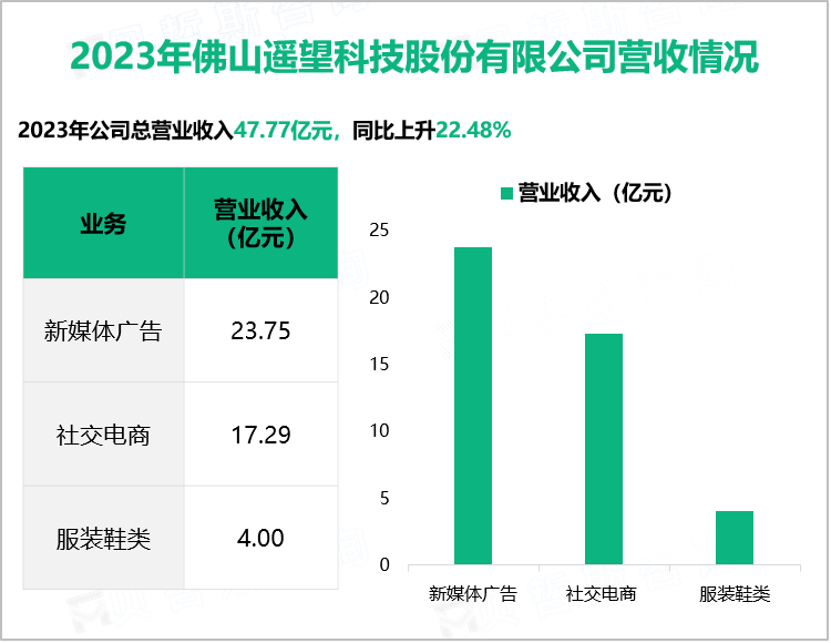 2023年佛山遥望科技股份有限公司营收情况