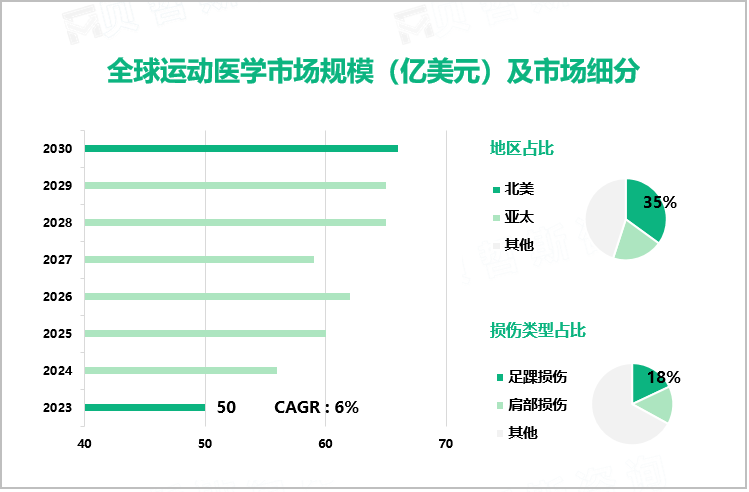 全球运动医学市场规模（亿美元）及市场细分