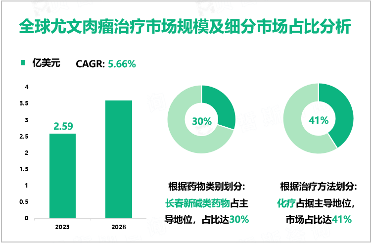 全球尤文肉瘤治疗市场规模及细分市场占比分析