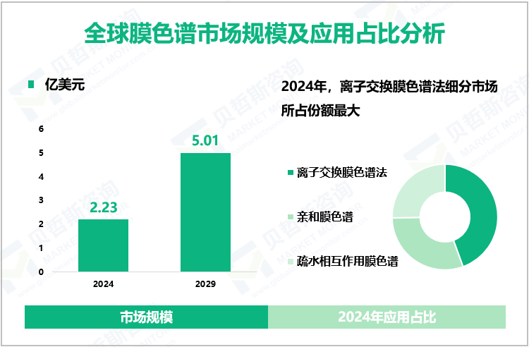 全球膜色谱市场规模及应用占比分析