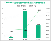 2024年1-3月湖南全社会用电量为587.53亿千瓦时，同比增长8.9%