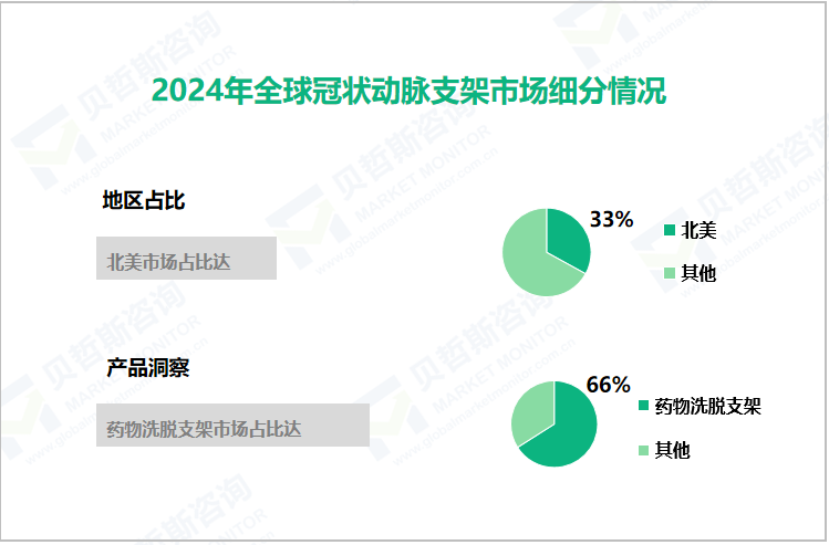 2024年全球冠状动脉支架市场细分情况