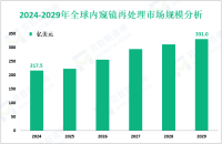 内窥镜再处理增量市场：2024-2029年全球市场规模将增长113.5亿美元