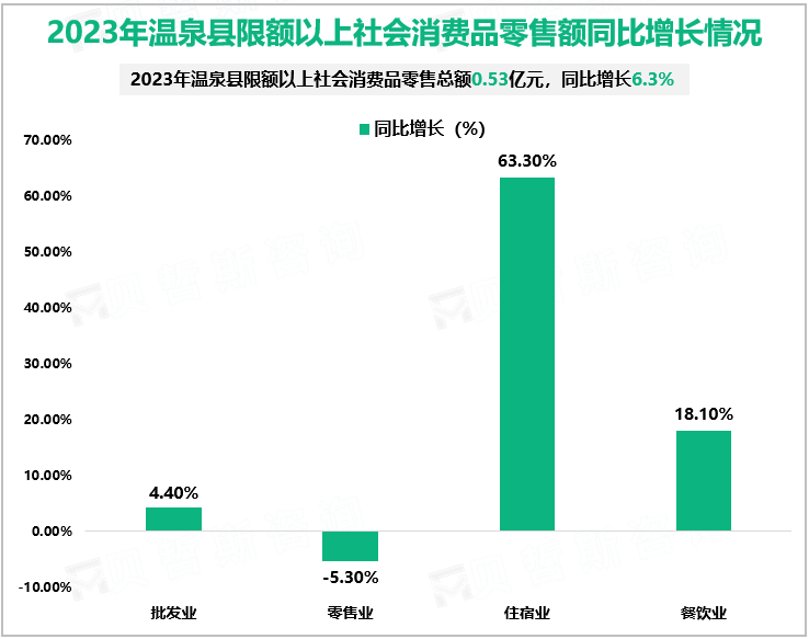 2023年温泉县限额以上社会消费品零售额同比增长情况