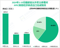 2024年1-10月福建省对APEC其他经济体进出口1.054万亿元，同比增长4.4%