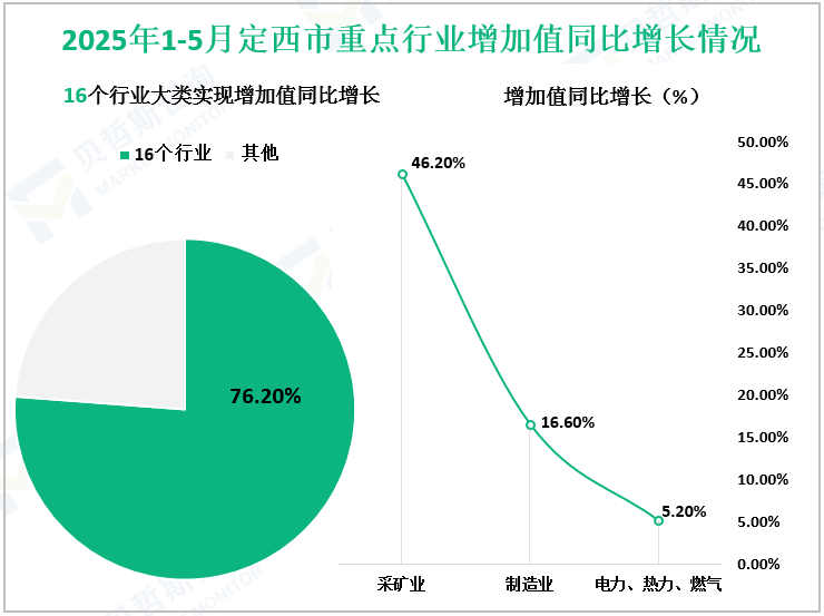 2025年1-5月定西市重点行业增加值同比增长情况