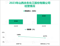 永东股份进一步提升了高端炭黑制造领域开发利用的水平，其营收在2023年为45.63亿元

