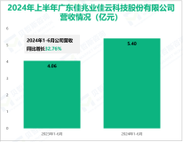 佳云科技专注于互联网营销业务，其营收在2024年上半年为5.40亿元