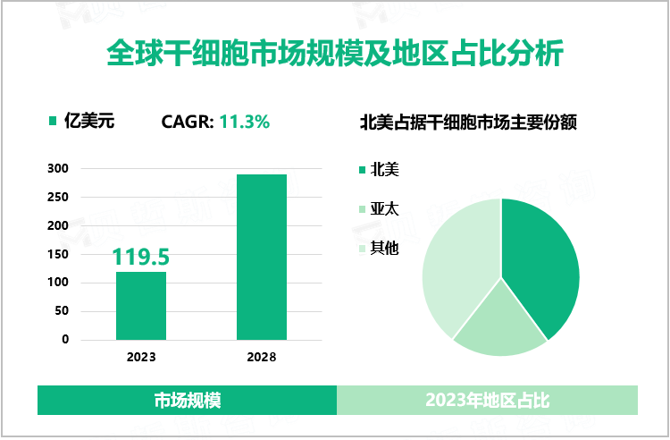 全球干细胞市场规模及地区占比分析