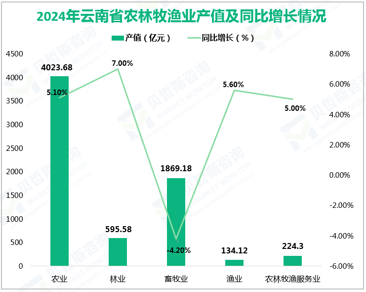 2024年云南省农林牧渔业产值及同比增长情况