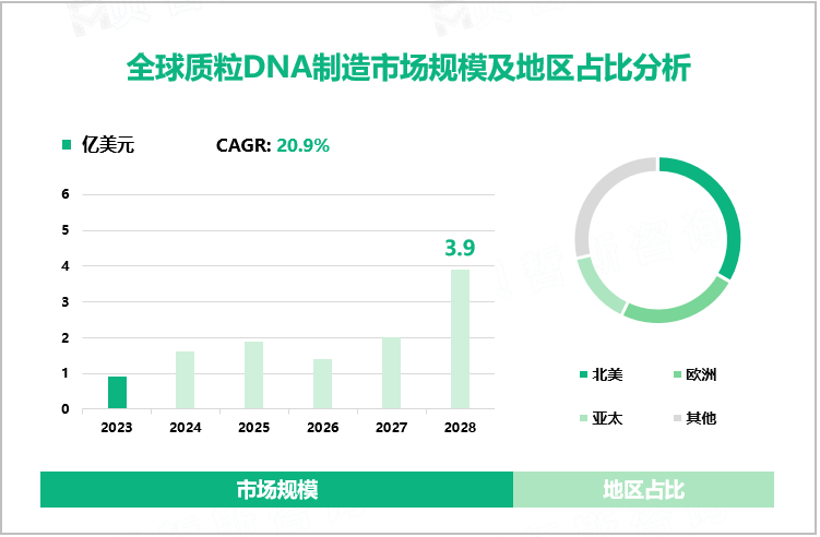 全球质粒DNA制造市场规模及地区占比分析