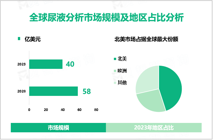 全球尿液分析市场规模及地区占比分析