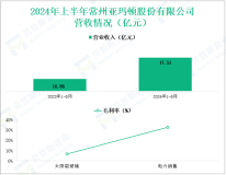 亚玛顿深耕光伏玻璃行业，其营收在2024年上半年为17.51亿元
