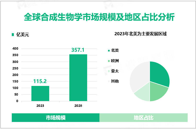 全球合成生物学市场规模及地区占比分析