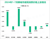 2024年1-7月聊城市限额以上零售额219.12亿元，同比增长13.6%