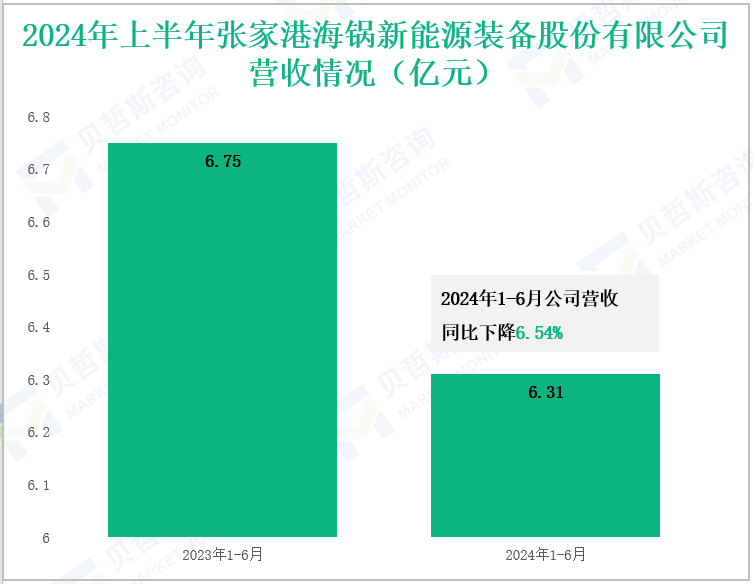 2024年上半年张家港海锅新能源装备股份有限公司营收情况(亿元)