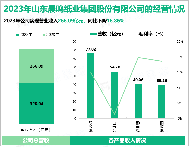 2023年山东晨鸣纸业集团股份有限公司的经营情况