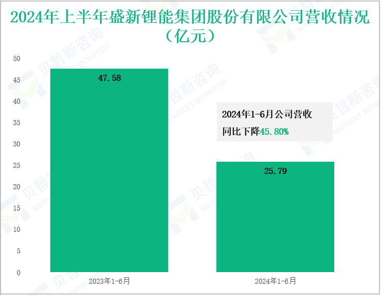 2024年上半年盛新锂能集团股份有限公司营收情况(亿元)