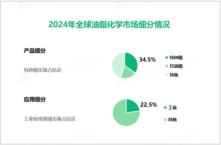 2024年全球油脂化学市场细分情况