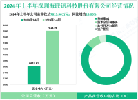 海联讯专注于电力信息化系统集成业务，其2024上半年营收为7813.96万元