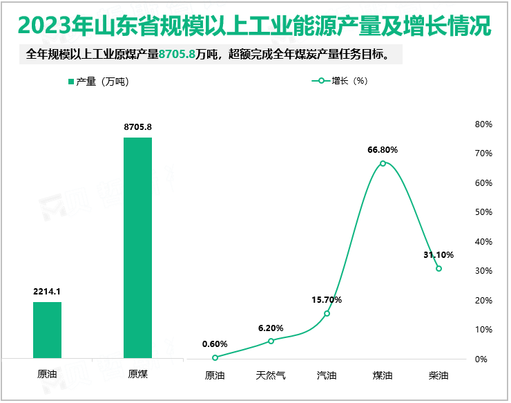 2023年山东省规模以上工业能源产量及增长情况