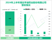 亨迪药业专注于化学原料药领域，其营收在2024年上半年为2.41亿元