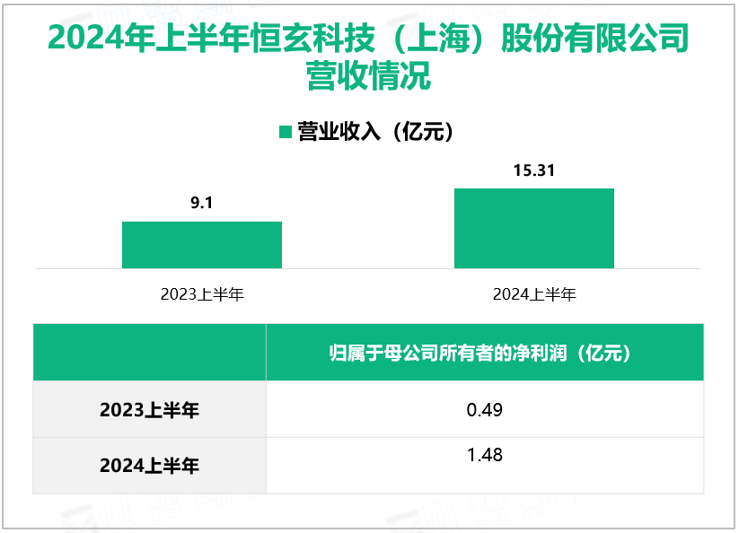 2024年上半年恒玄科技（上海）股份有限公司营收情况