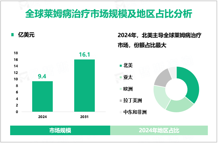 全球莱姆病治疗市场规模及地区占比分析