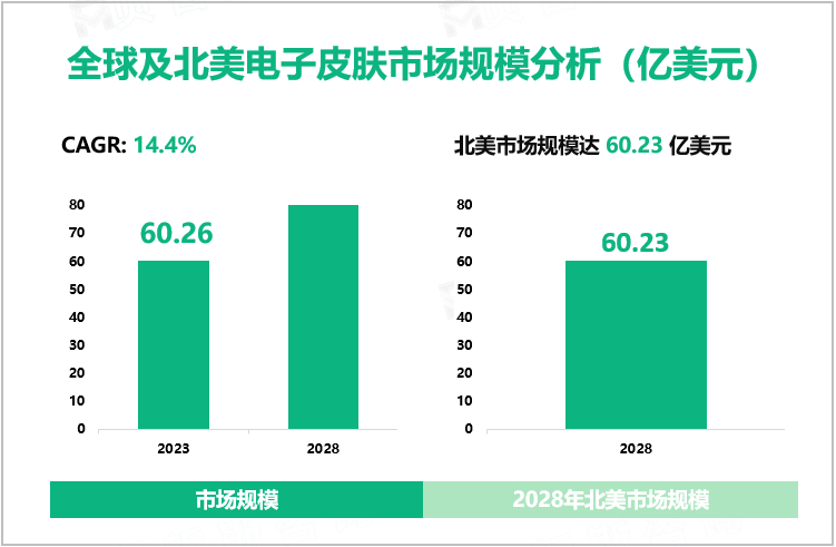 全球及北美电子皮肤市场规模分析（亿美元）