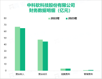 中科软是业务领域布局广泛的大型行业应用软件开发商，其营收在2023年达到65.03亿元

