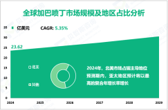 2024年全球加巴喷丁市场规模为23.62亿美元，北美占比最大
