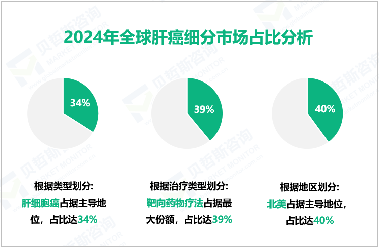 2024年全球肝癌细分市场占比分析