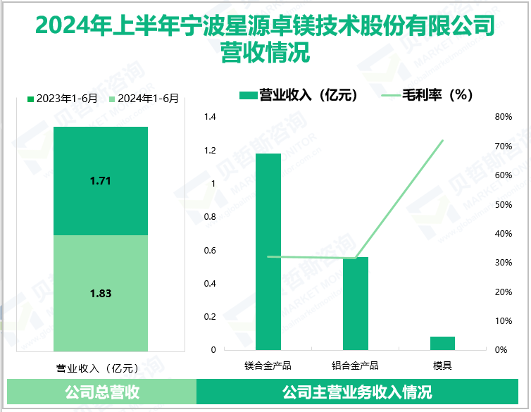 2024年上半年宁波星源卓镁技术股份有限公司营收情况