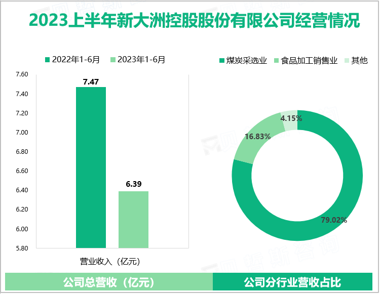 2023上半年新大洲控股股份有限公司经营情况