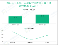 道氏技术聚焦于新材料业务，其营收在2024年上半年为41.35亿元