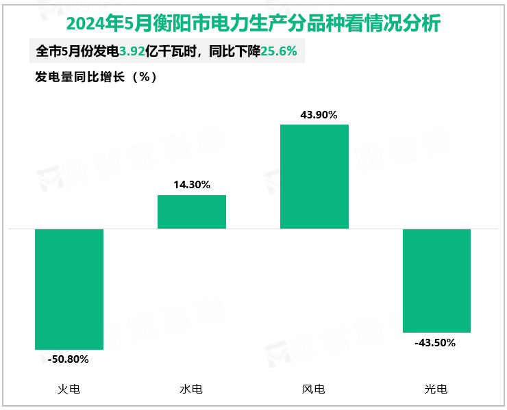 2024年5月衡阳市电力生产分品种看情况分析