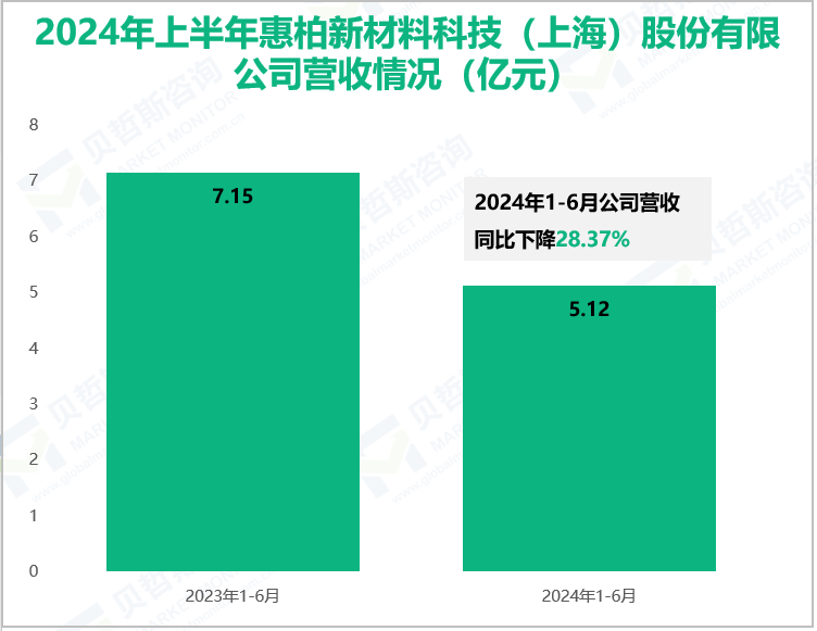 2024年上半年惠柏新材料科技(上海)股份有限公司营收情况(亿元)