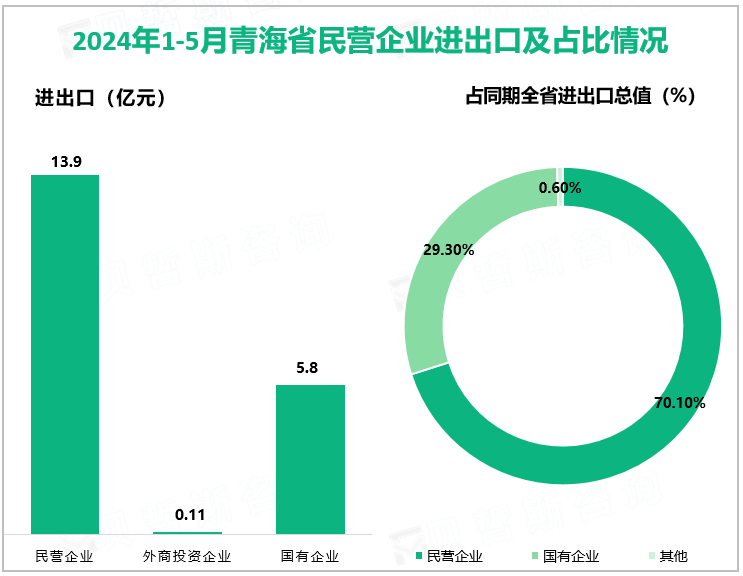 2024年1-5月青海省民营企业进出口及占比情况