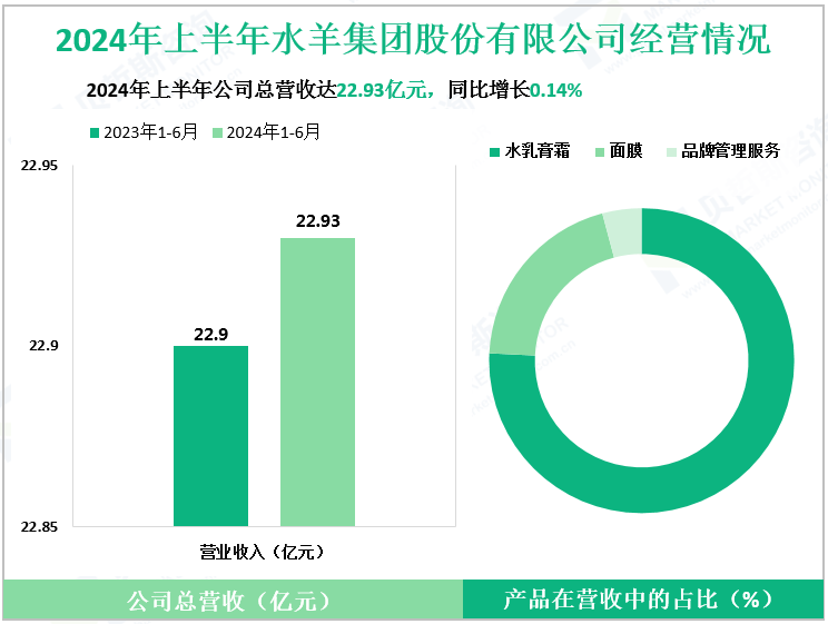 2024年上半年水羊集团股份有限公司经营情况