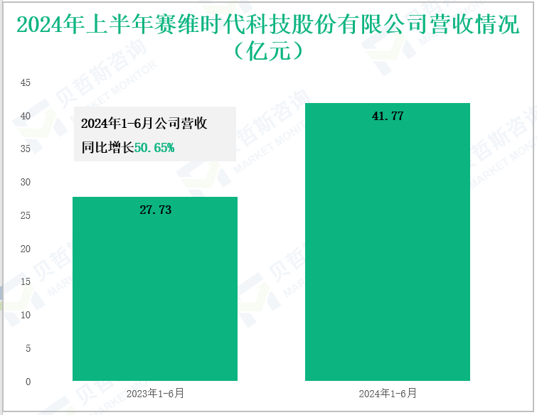 2024年上半年赛维时代科技股份有限公司营收情况(亿元)