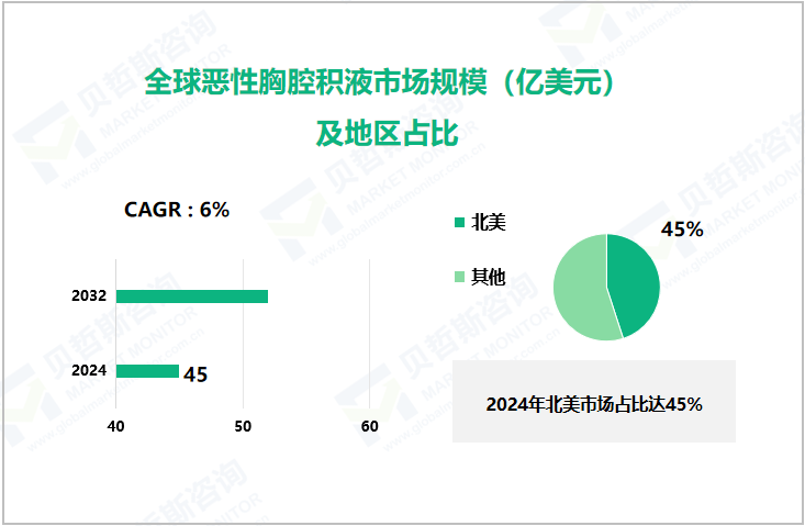 全球恶性胸腔积液市场规模（亿美元）及地区占比