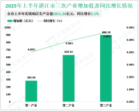 2025上半年湛江市实现地区生产总值1811.26亿元，同比增长5.1%