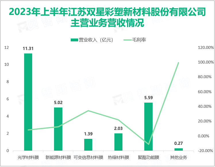 2023年上半年江苏双星彩塑新材料股份有限公司主营业务营收情况