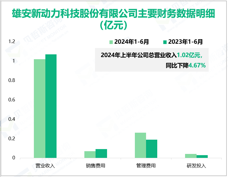 雄安新动力科技股份有限公司主要财务数据明细(亿元)