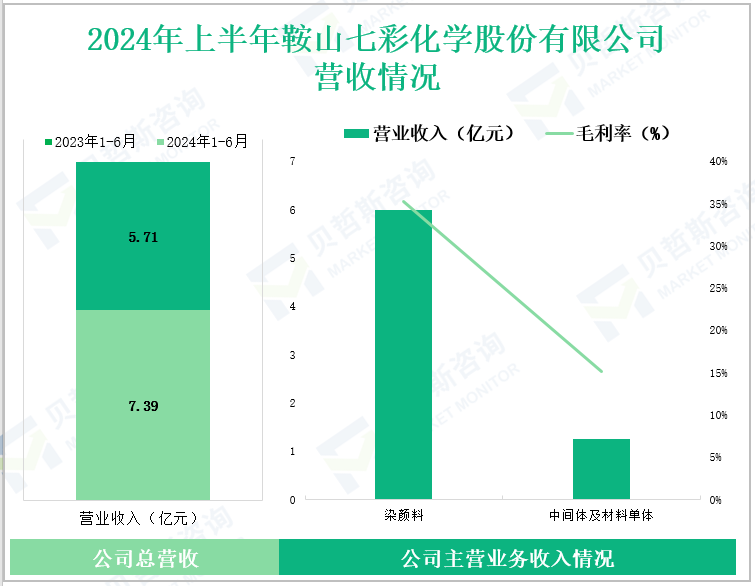 2024年上半年鞍山七彩化学股份有限公司营收情况