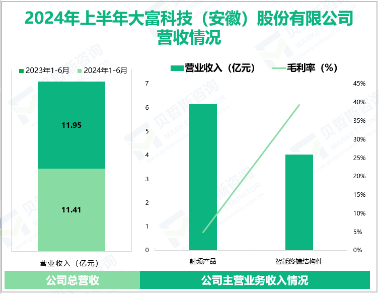 2024年上半年大富科技(安徽) 股份有限公司营收情况