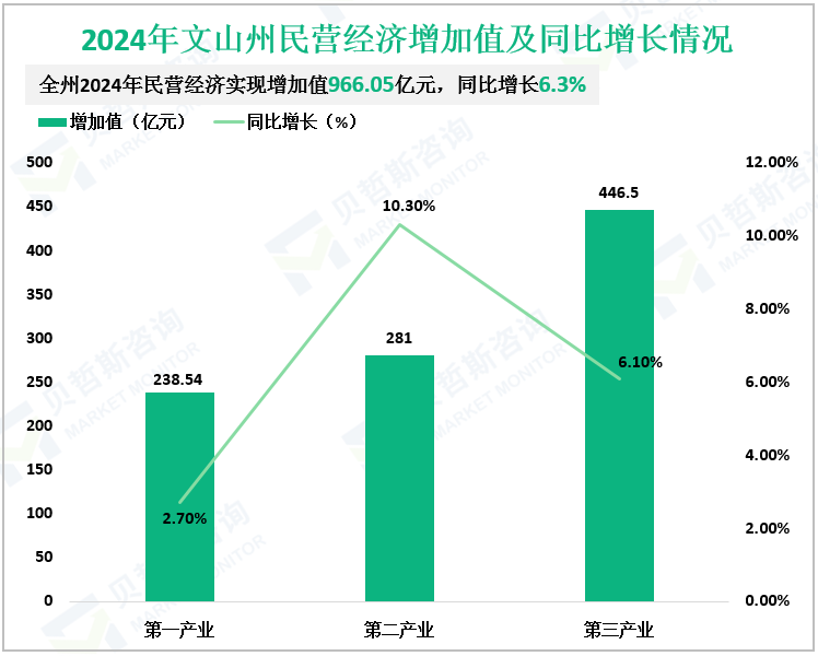 2024年文山州民营经济增加值及同比增长情况